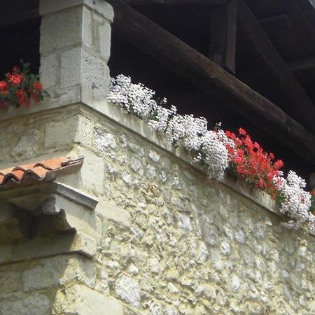 Fregona Al Mulino B&B 외부 사진